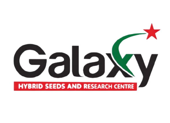 Green_India___galaxy_2022.pdf__1_-removebg-preview